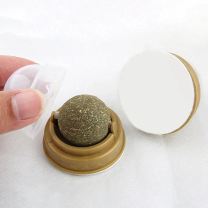 ⭐ MewBall™ – Catnip Wall Toy Highlights