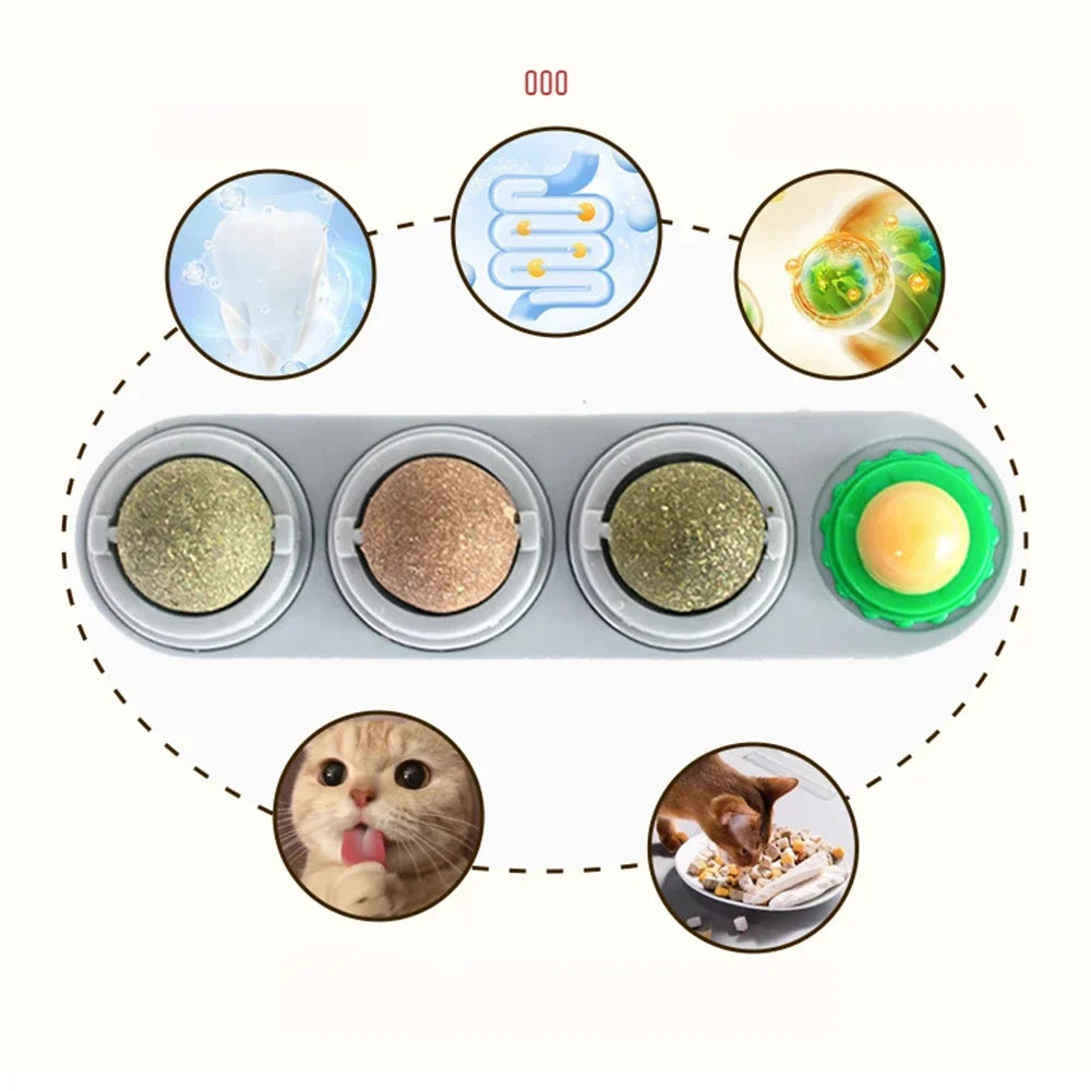 ⭐ Lick & Play 😺 | 4-in-1 Catnip Dental Chew Balls