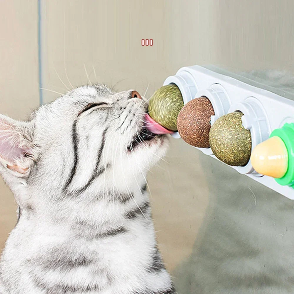 ⭐ Lick & Play 😺 | 4-in-1 Catnip Dental Chew Balls