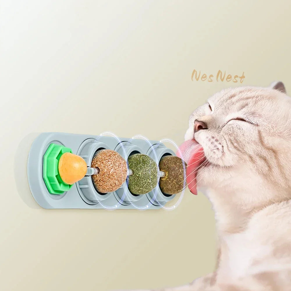 ⭐ Lick & Play 😺 | 4-in-1 Catnip Dental Chew Balls
