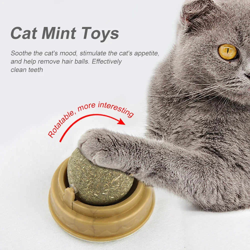 ⭐ MewBall™ – Catnip Wall Toy Highlights